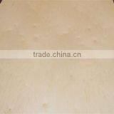 Professional birch plywood from china