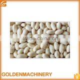 New Designed Commercial Peanut Wet Blancher thumbnail-5