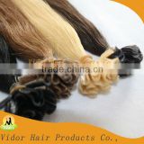 Top Quality 5A Fashion Hair Style Wholesale Brazilian Hair Remy U Tip Hair