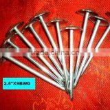 Electo Galvanized Smooth Umbrella Head Roofing Nails thumbnail-1