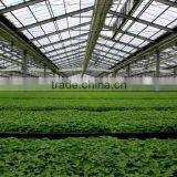 Agricultural Greenhouses Film thumbnail-5