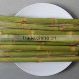 Frozen Sugarcane From VietNam QQ : 2598494113 thumbnail-4