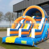 inflatable slide for fun, children inflatable dry slide with fish