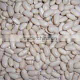 2014 Chinese White Kidney Bean With Cheap Price thumbnail-5