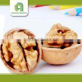 Light Amber Pieces Walnut Kernels Market Price thumbnail-1