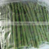 Frozen Asparagus, IQF Asparagus thumbnail-2