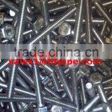 310S en 1.4845 Stainless Steel Bolt & Nut With Washer Uns S31008