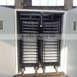 Automatic Egg Incubator and Hatcher of TD-9856 thumbnail-2