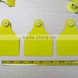 UHF Ear Tag RFID Chip Design for Farm Animal Management System thumbnail-4