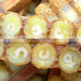 Organic Fresh Honey and Royal Jelly thumbnail-1