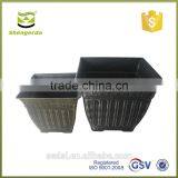 Hand Paint Square Plastic Flower Pott thumbnail-2