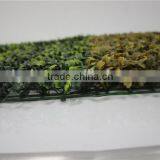 Durable and Hot Sale Fake Milan Grass Newly Published Artificial Milan Turf thumbnail-1