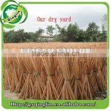 Dry Natural Broom Handle Wood Factory in China thumbnail-2