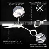 Japanese Hitachi Hair Scissors, Beauty Barber Scissors thumbnail-6