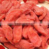 Herbal Wolfberry Goji Berry Tonifying Kidney Liver Eyesight Tea thumbnail-2