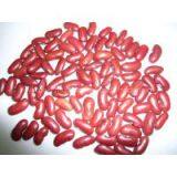 DARK RED KIDNEY BEANS thumbnail-1