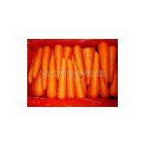 Carrot,carrot Supplier,Chinese Carrot,fresh Carrot thumbnail-3