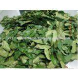 DRIED SOURSOP LEAVES thumbnail-2