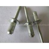 Hippocampal Rivet thumbnail-3