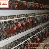 Sri Lanka Chicken Supplier in Chicken Shed Hot Galvanized Cage & A Type Battery Layer Breeder Chicken Cage & Laying Hen Coop for Poultry Farm