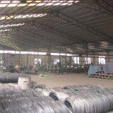 Shandong Sincerity Hardware Industry Co.,Ltd company overview - view 4 thumbnail