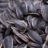 Sunflower Seeds for Human Consumption