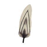 Hodisplay Indoor Decorative Crafts Home Decoration Resin Artificial Feather With Base thumbnail-4