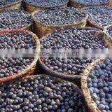 ACAI POWDER thumbnail-1