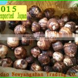 (HOT) Fresh Taro/Professional do taro/Taro exports to Japan
