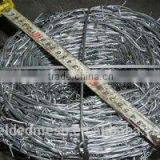 Gold Supplier Barbed Wire (Factory)