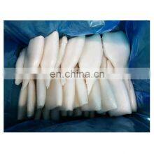 Dosidigus Gigas Squid Tube EU Quality Treated