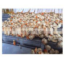 High Quality Dried Scallop Meat for Sale thumbnail-3