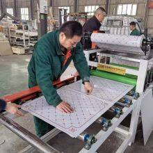 Small Scale Gypsum Board Lamination Machine 600*600 Gypsum Ceiling Tiles Making Machine thumbnail-2