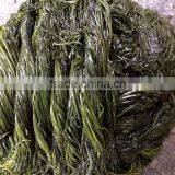 Frozen Seaweed Food Flavored Kelp Cut Seaweed Buyer thumbnail-3