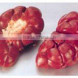 Frozen Beef - Forequarter, Hindquarter and Fancy Meats thumbnail-6