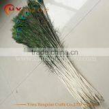 Factory Wholesale Indian Peacock Feather for Sale thumbnail-4
