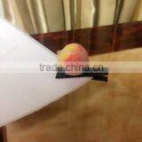 China Most Fashion Funny Plastic Fruit Alligator Bean Sprout Hair Clip thumbnail-5