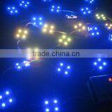 SMD5050 Chasing LED Module Waterproof