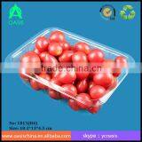 500ml Disposable Blister Plastic PET Food Tray/PET Plastic Tray for Food thumbnail-1