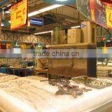 Ice Flake Making Machines