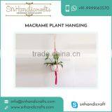 Boho Style Macrame Plant Hangings Available for Bulk Purchase