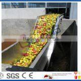 Apple Processing Line