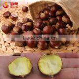 2015 Best Fresh Wholesale Chestnut thumbnail-3