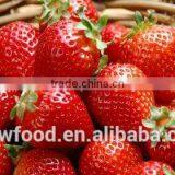 IQF Frozen Whole Strawberry-AM 13 Above 35mm thumbnail-1