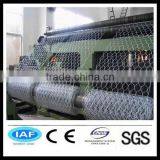 Hexagonal Wire Mesh thumbnail-1