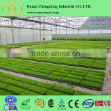 Sell Used Greenhouses Tunnel Greenhouses and Prices thumbnail-3