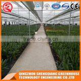Factory Direct Anti Ultraviolet Solar Glass Greenhouse thumbnail-5