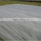 Spunbond Pp Agriculture Nonwoven Fabric Roll For Seeding Bag thumbnail-4