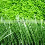 FIFA Factory Price pe Material Fake Turf Artificial Grass Lawn thumbnail-1