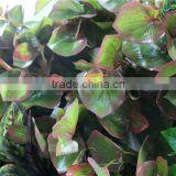 100*100*25cm Home Garden Decorative Indoor Vertical Plastic Artificial Green Plant Walls ZWQ09 2113 thumbnail-1